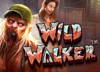 дикий слот wild walker